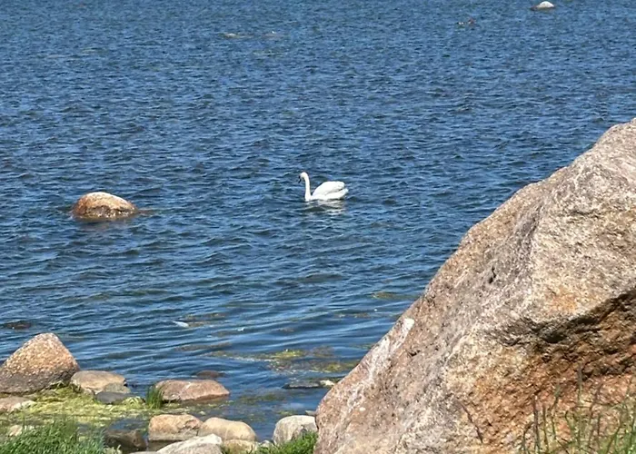 Luxury Waterfront With Sea Views, Sunset Terraces And Free Parking, One With A Huum Sauna, The Other With A Bathtub Apartment Reval