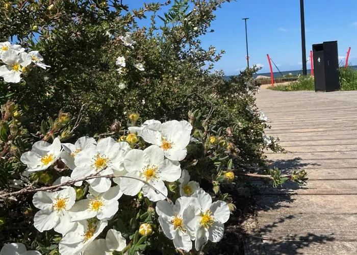 Apartment Luxury Waterfront With Sea Views, Sunset Terraces And Free Parking, One With A Huum Sauna, The Other With A Bathtub Reval